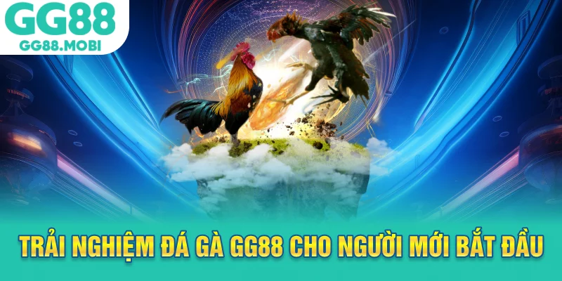 Trải nghiệm đá gà GG88 cho người mới bắt đầu